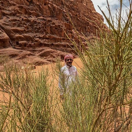 Stargazing Camp & Tours Hotel Wadi Rum Luaran gambar