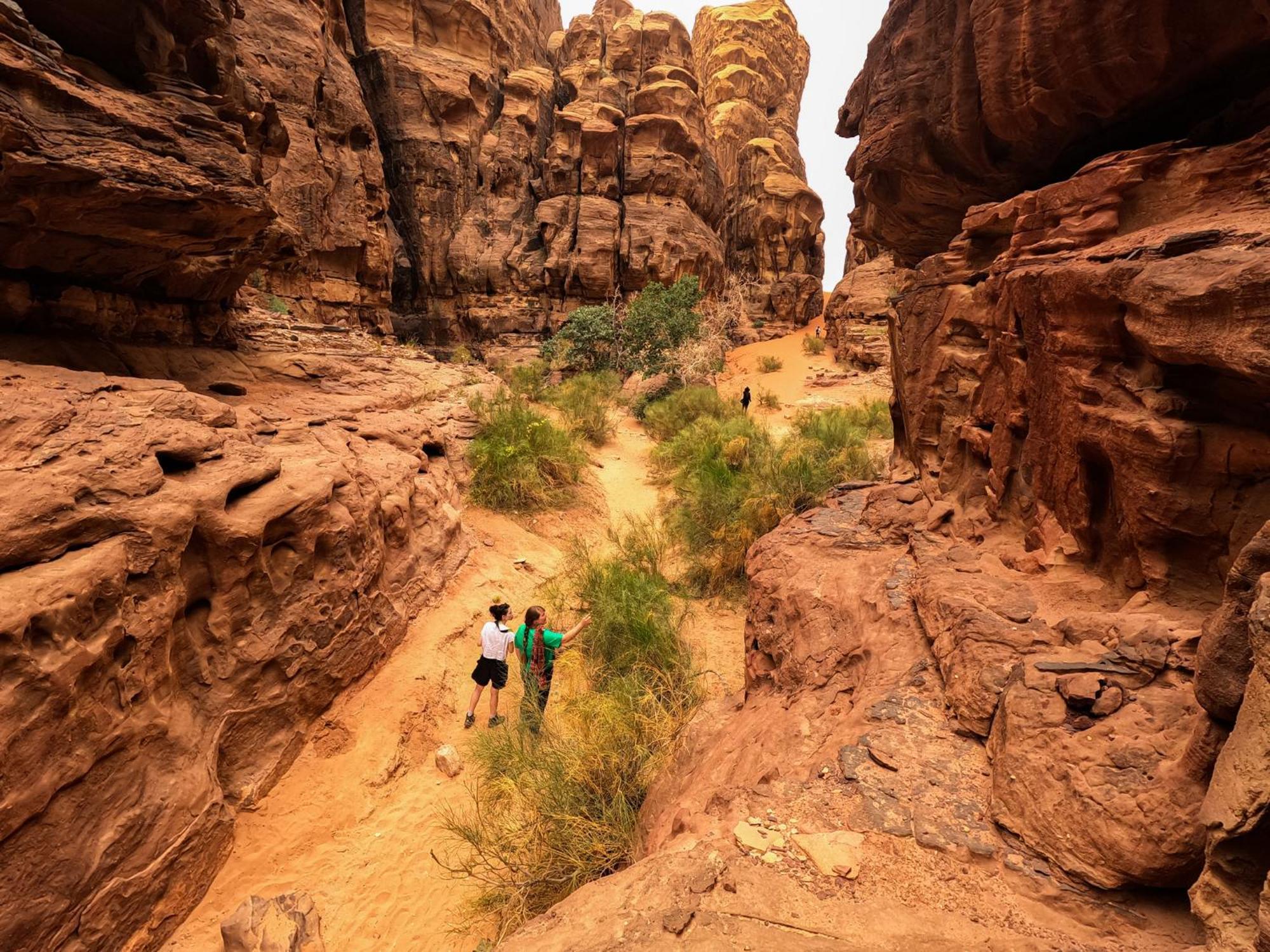 Stargazing Camp & Tours Hotel Wadi Rum Luaran gambar