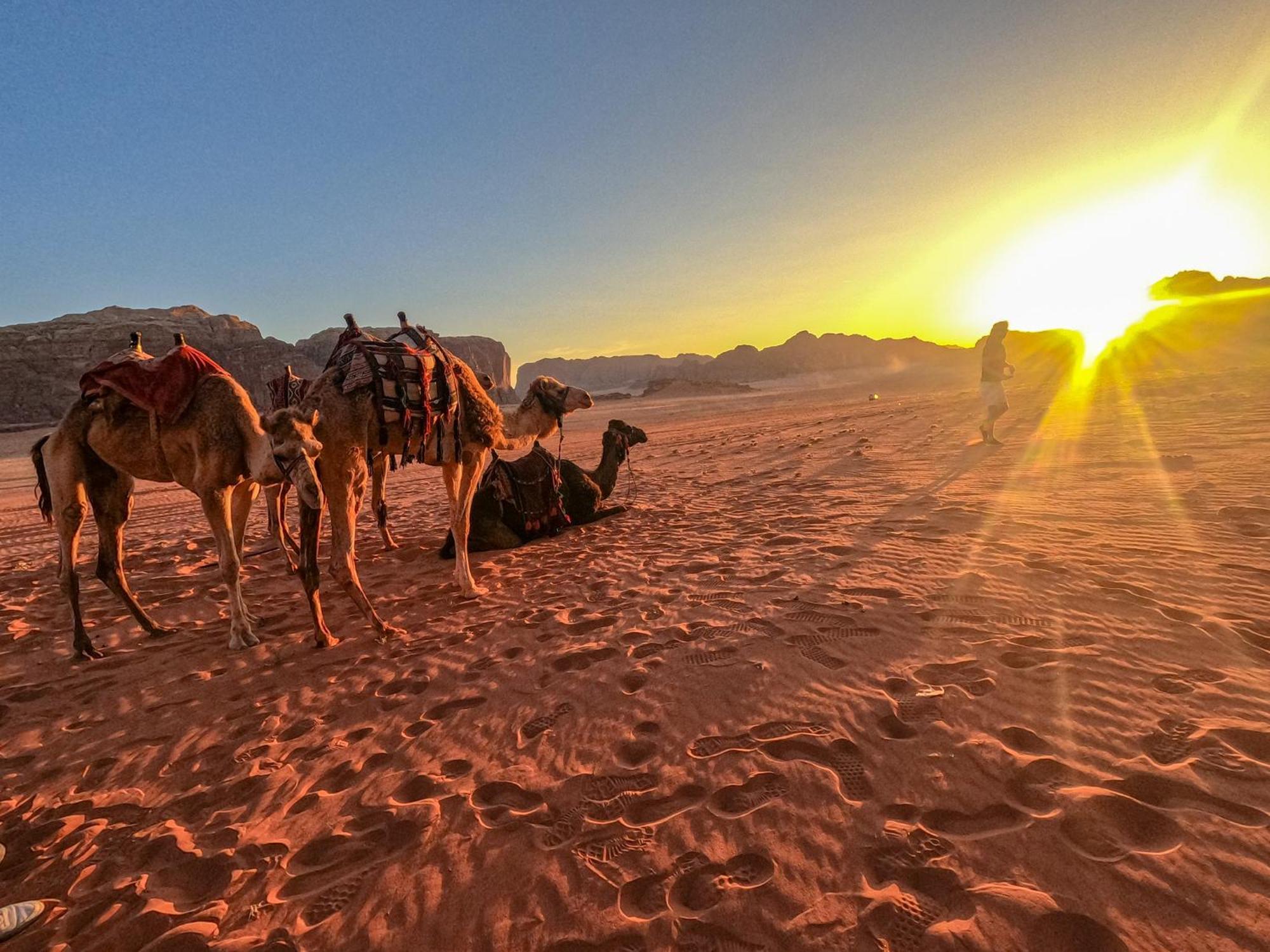 Stargazing Camp & Tours Hotel Wadi Rum Luaran gambar