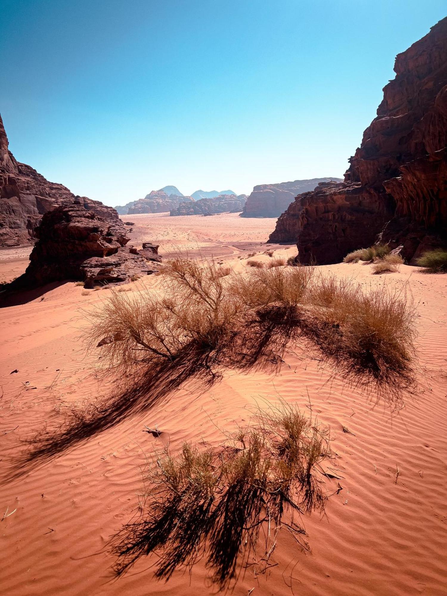 Stargazing Camp & Tours Hotel Wadi Rum Luaran gambar