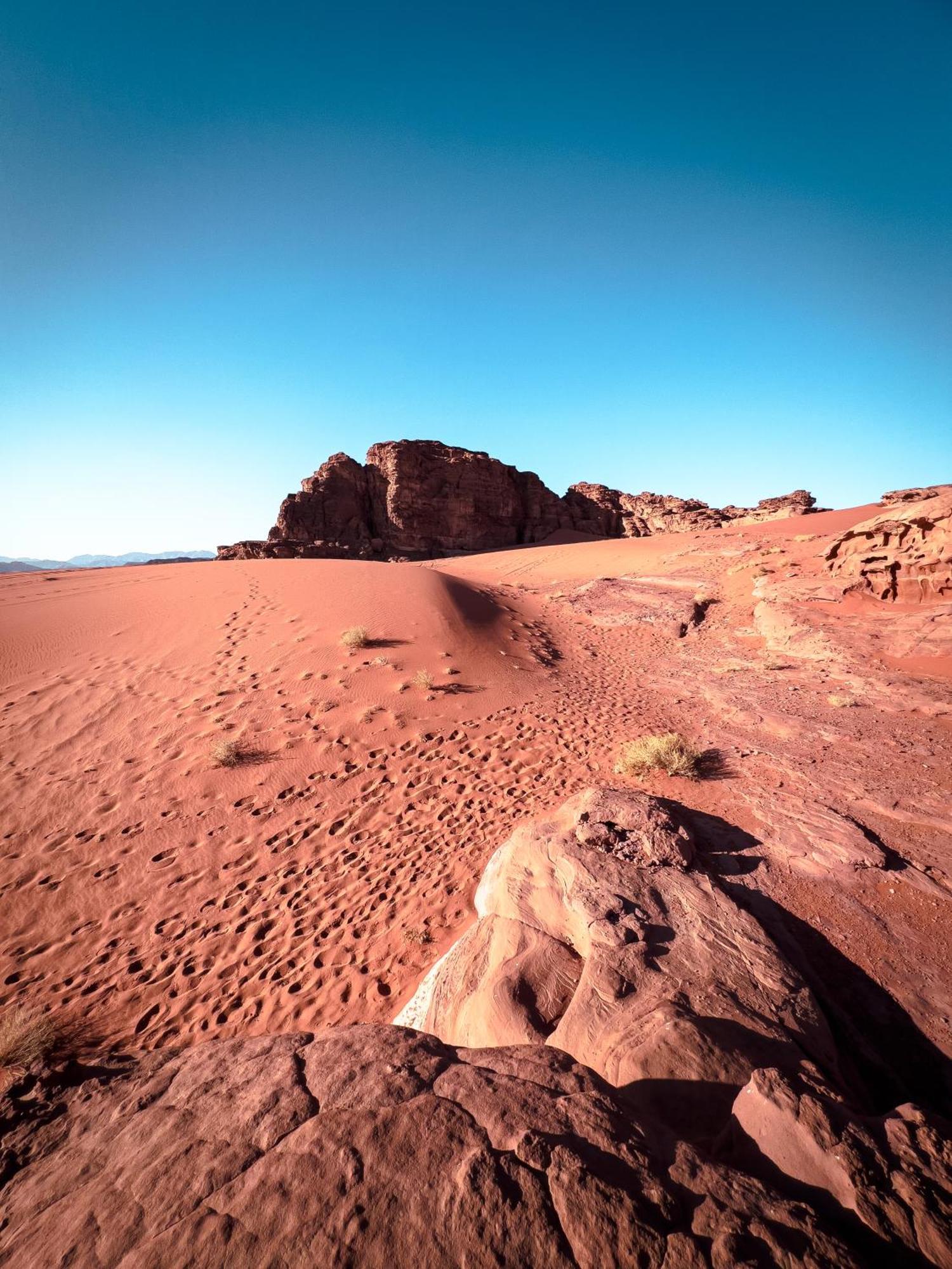 Stargazing Camp & Tours Hotel Wadi Rum Luaran gambar