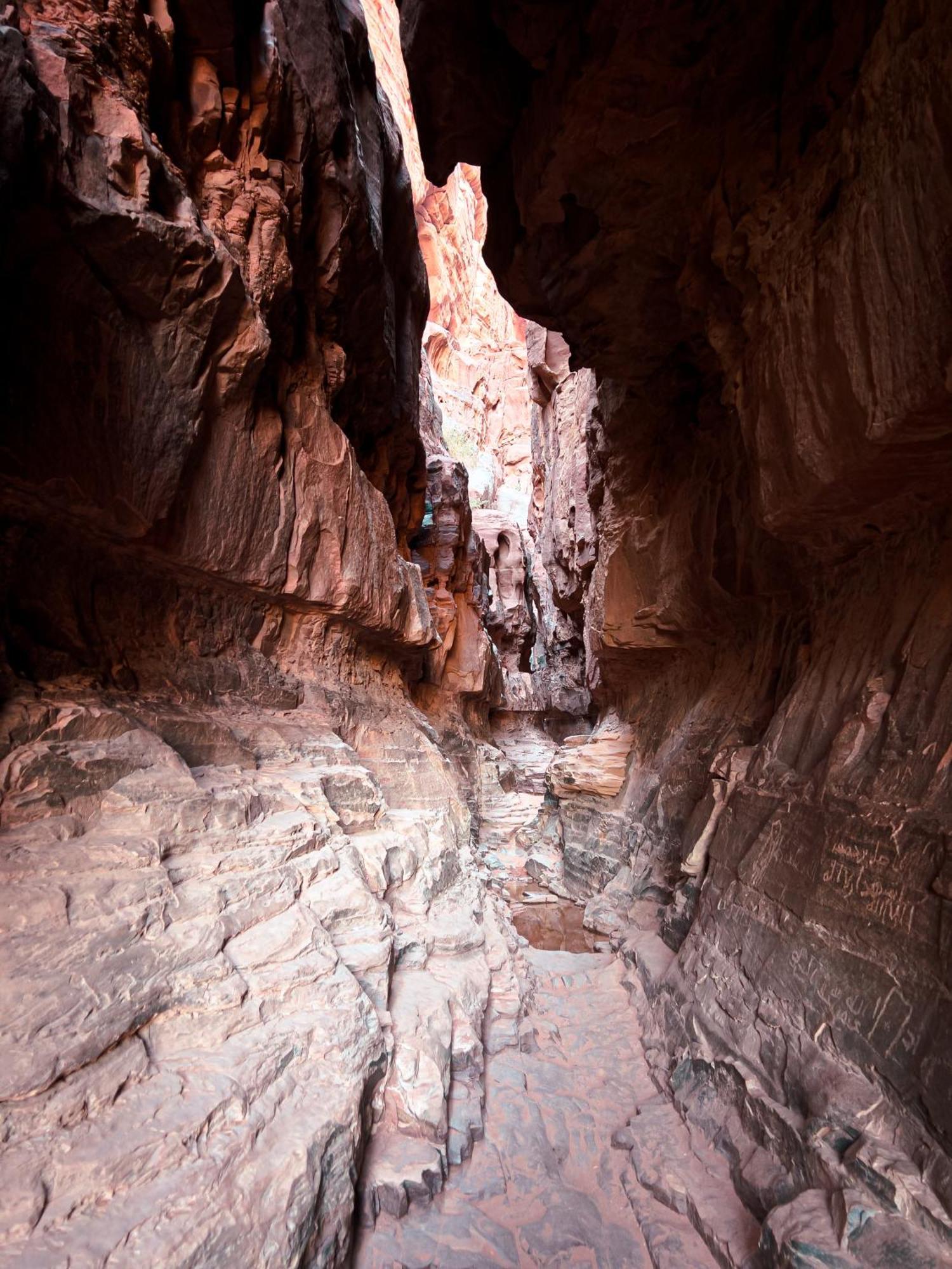 Stargazing Camp & Tours Hotel Wadi Rum Luaran gambar