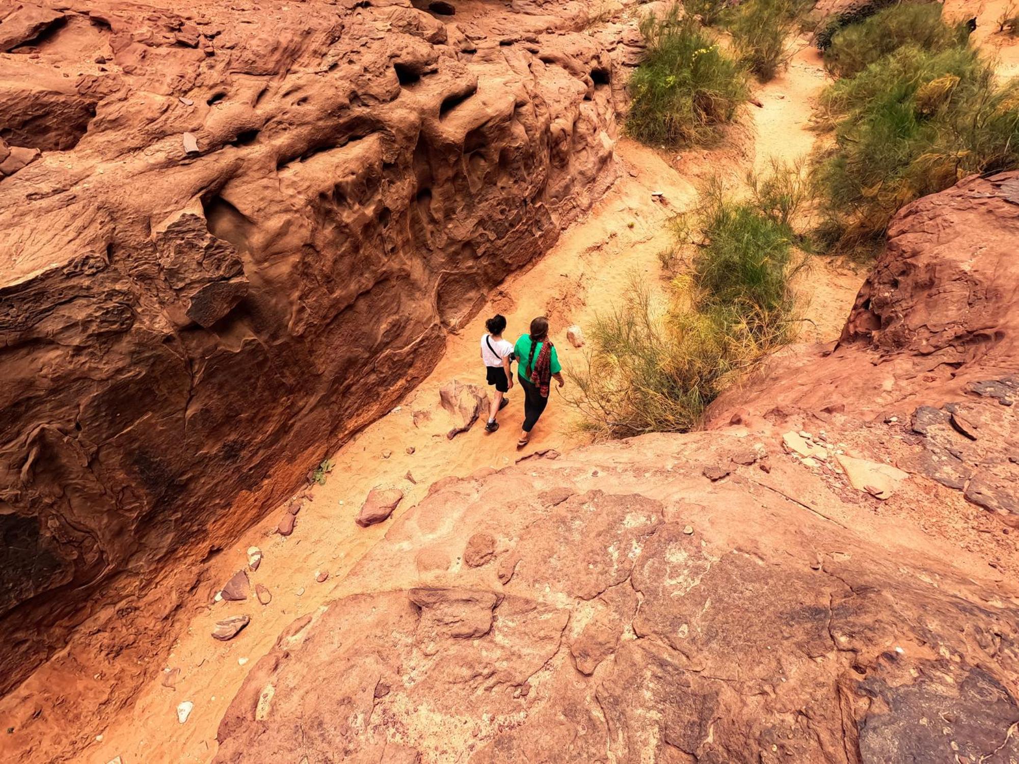 Stargazing Camp & Tours Hotel Wadi Rum Luaran gambar