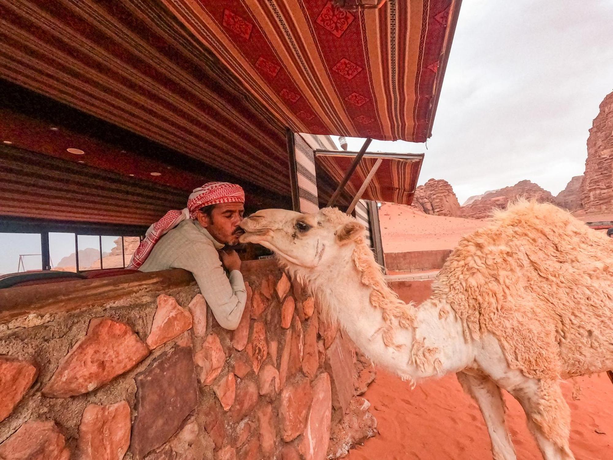 Stargazing Camp & Tours Hotel Wadi Rum Luaran gambar