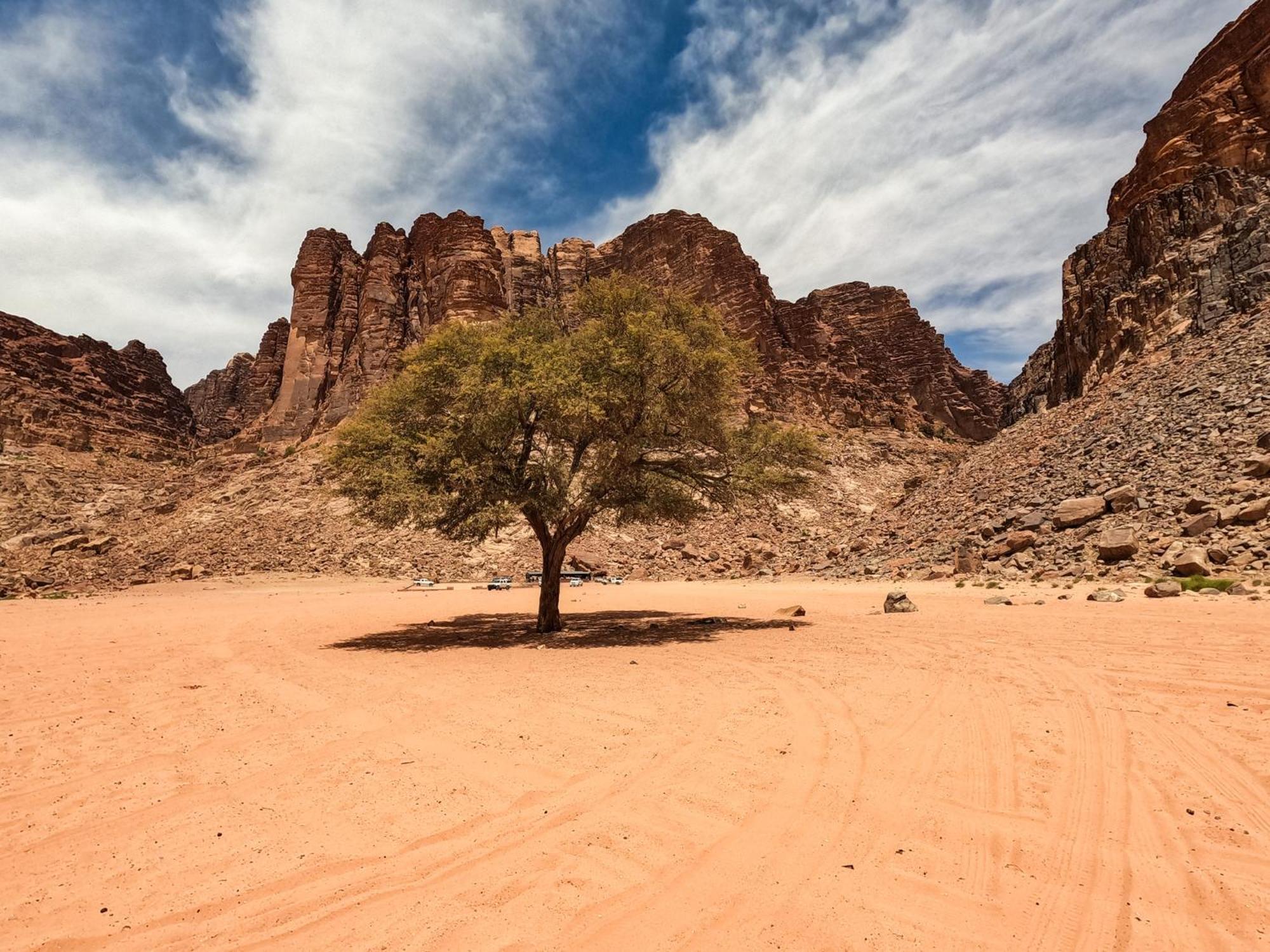 Stargazing Camp & Tours Hotel Wadi Rum Luaran gambar
