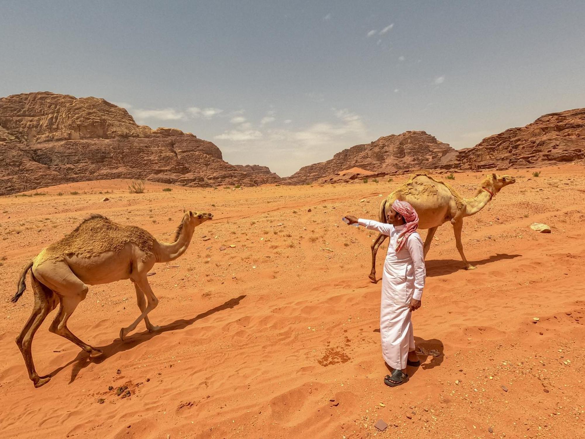 Stargazing Camp & Tours Hotel Wadi Rum Luaran gambar
