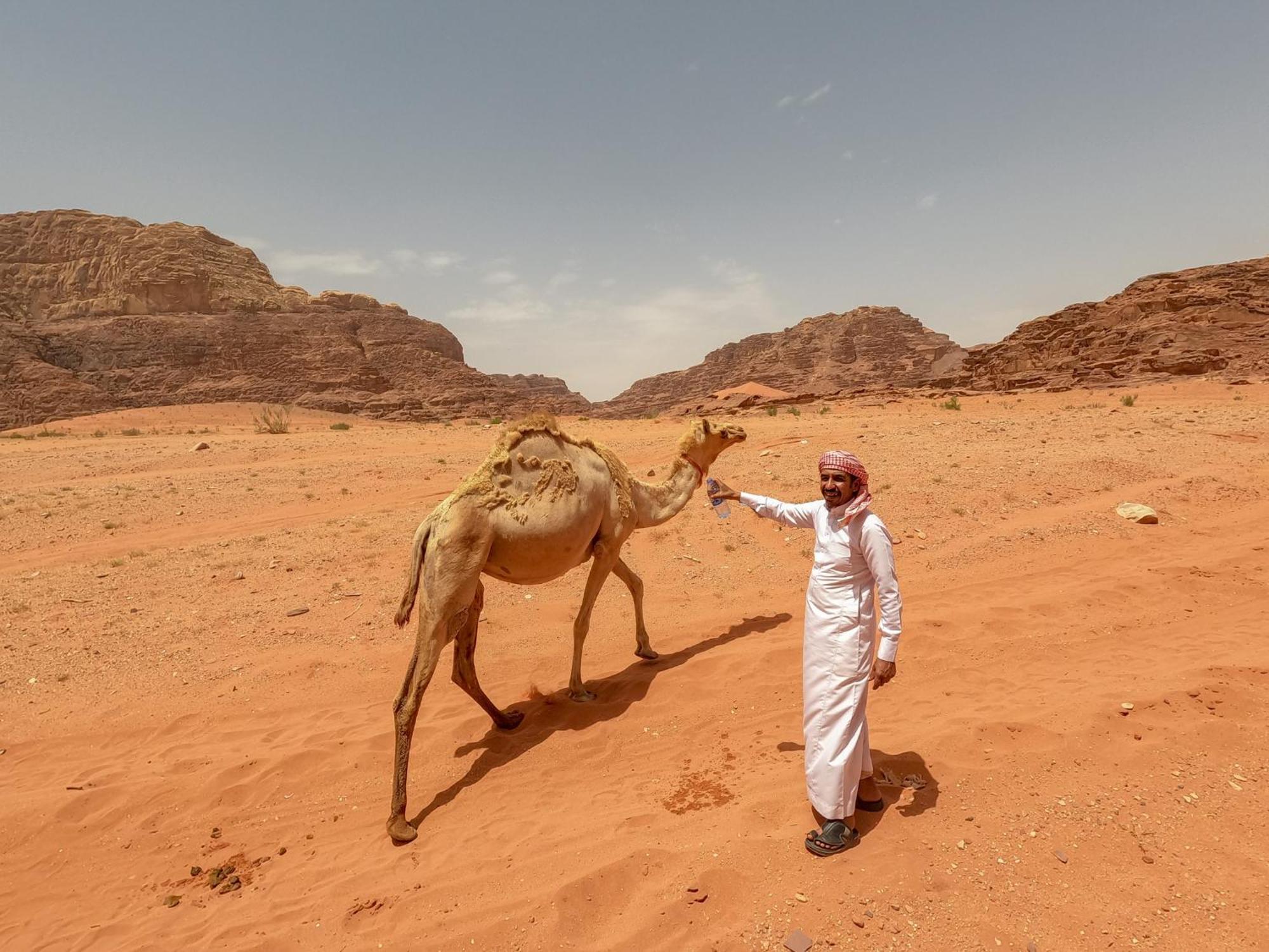 Stargazing Camp & Tours Hotel Wadi Rum Luaran gambar