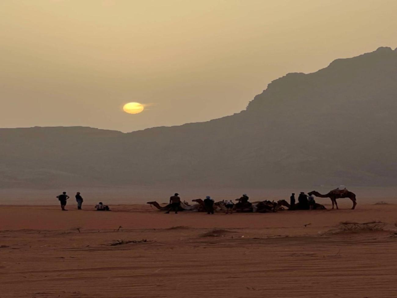 Stargazing Camp & Tours Hotel Wadi Rum Luaran gambar